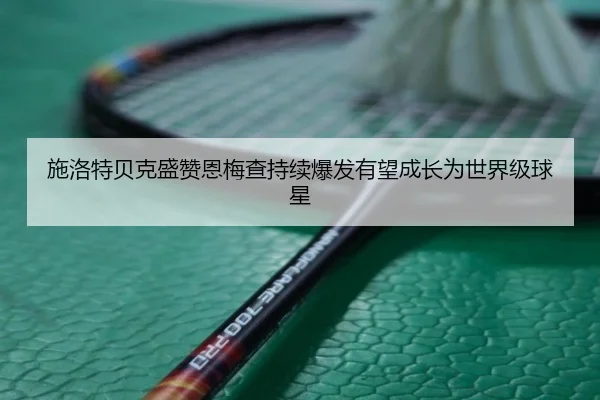 施洛特贝克盛赞恩梅查持续爆发有望成长为世界级球星（WANMEISPORTS）